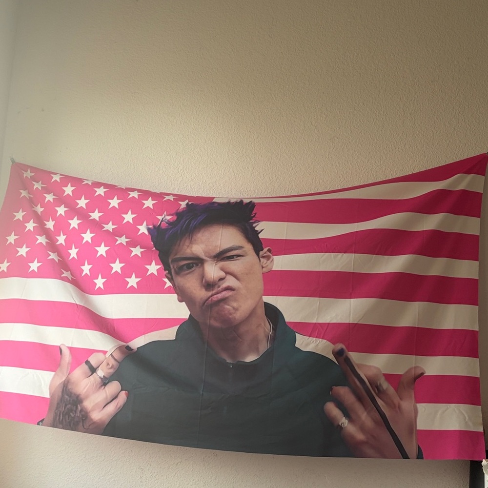 Large Thanos squid game flag